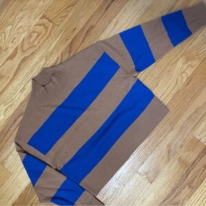 EVERLANE Brown & Blue Striped Light Sweater